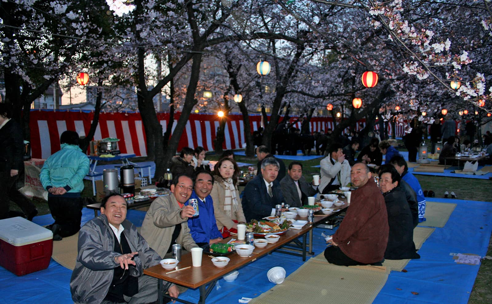 観桜会