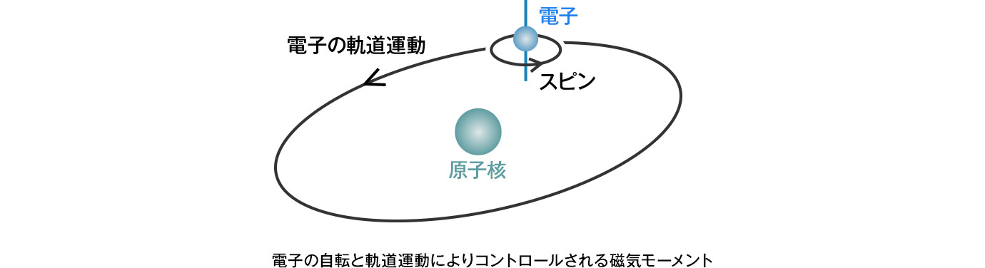 電子の自転と軌道運動によりコントロールされる磁気モーメント